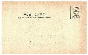 Burlington Railway Bridge at Pine Woods Ogle County Illinois Postcard