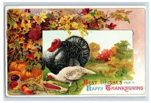 C.1910 Thanksgiving Turkey Pumkins Leaves Fall Vintage Postcard F122E