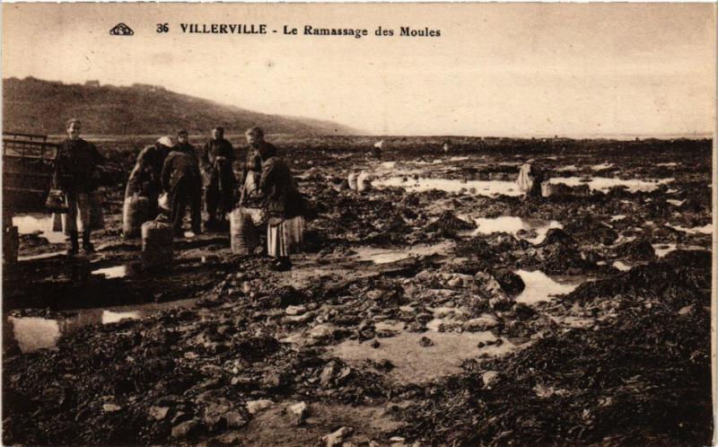 CPA VILLERVILLE - Le Ramassage des Moules (475829)