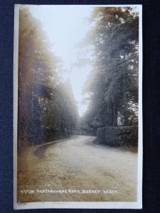 Hertfordshire BUSHEY HEATH Heathbourne Road c1919 RP Postcard