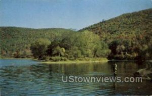 Fishing Big Bend Allegheny River - Bradford, Pennsylvania