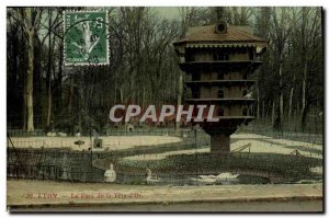 Old Postcard Dove Pigeon Lyon Park Tete d & # 39Or The pigeon
