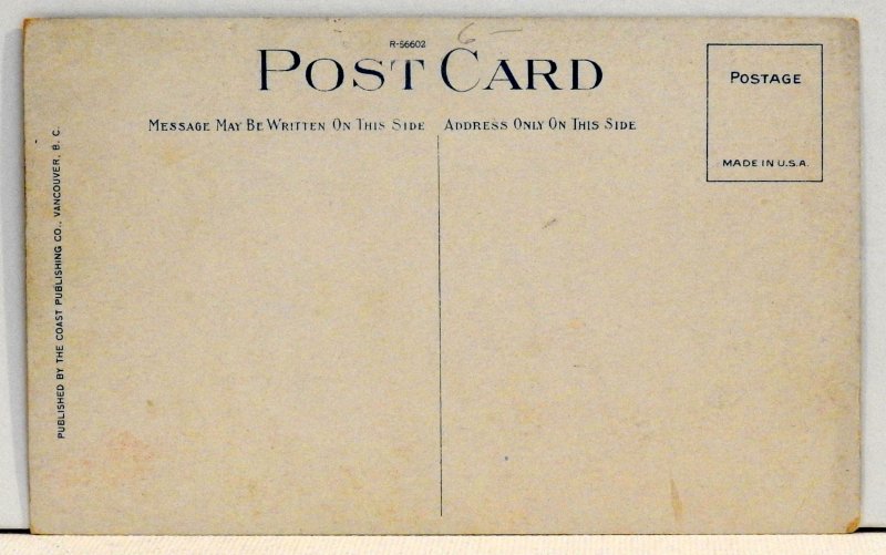 The Water Front from Stanley Park, Vancouver, B. C. - Postcard