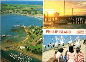 Phillip Island Victoria Australia AU Multiview Unused Vintage Postcard D43