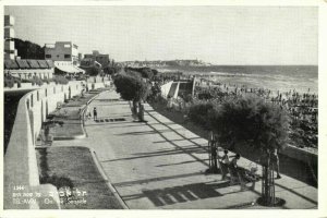 israel palestine, TEL-AVIV, On the Seaside (1960s) Palphot 1344 Postcard