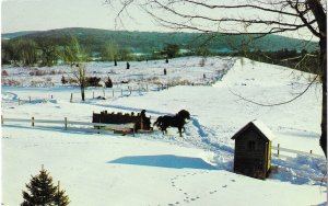 Beautiful Winter Sledding Scene Salem Crofs Inn Brookfield Massachusetts