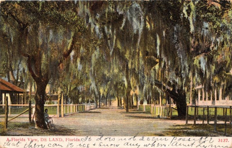 DE LAND FLORIDA A FLORIDA VIEW POSTCARD c1907