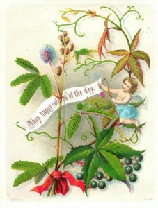 1870s-80s Lovely Cupid Cherub Many Happy Returns - H Rothe, Victorian Card 2 F22