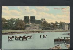 Wales Postcard - Cows in River, Rhuddlan Castle, Denbighshire T7837