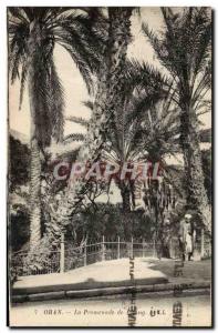 Old Postcard Oran La Promenade From & # 39Etang