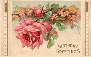 Vintage Postcard 1910's A Happy Birthday Greetings Card Old Pink Rose Blooms