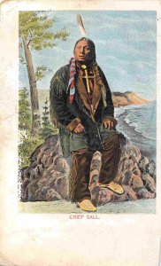 Chief Gall Native American Indian 1905c postcard