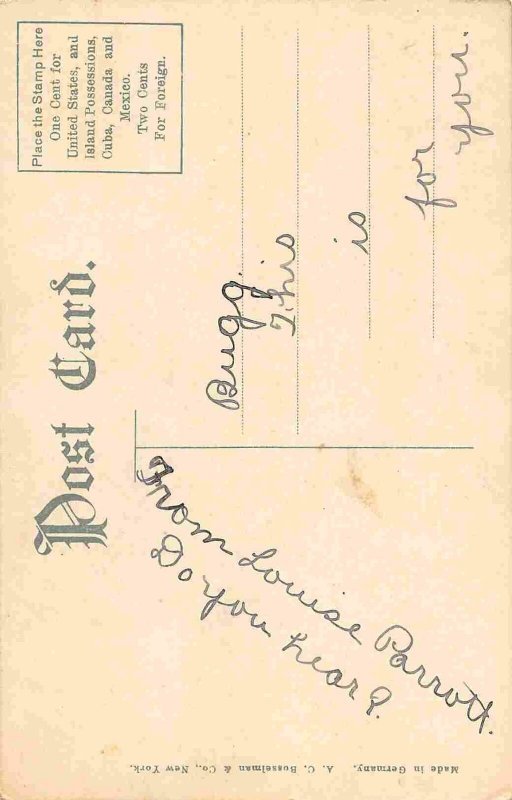 Citizens National Bank Des Moines Iowa 1910c postcard