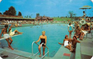OLYMPIC POOL Grossinger's, New York Catskill Resort 1950s Vintage Postcard