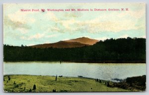 Gorham New Hampshire~Mascot Pond~Mt Washington & Mt Madison Bkgd~c1910 Pc
