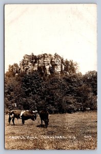 K5/ Fennemore Wisconsin RPPC Postcard c1910 Castle Rock Cows Geology 114