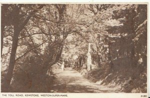 Somerset Postcard - The Toll Road - Kewstoke - Weston-super-Mare - Ref TZ5999