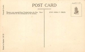 Reaping Bananas Trinidad Postcard