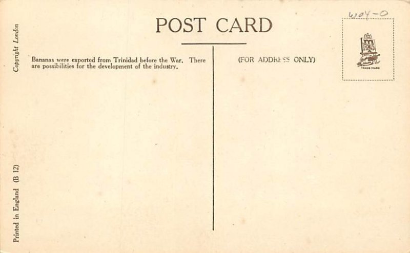 Reaping Bananas Trinidad Postcard