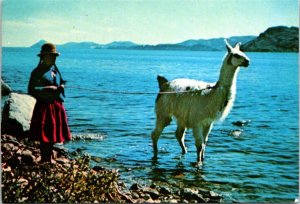 VINTAGE CONTINENTAL SIZE POSTCARD LLAMA HERDESS AT LAKE TITICACA BOLIVIA 1970s