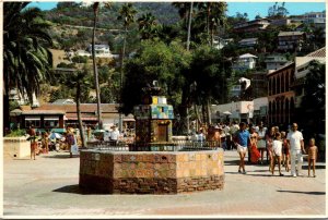 California Catalina Island Avalon Wrigley Plaza and Fountain