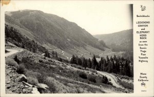 Yosemite California CA Leevining Canyon Vintage Real Photo Postcard