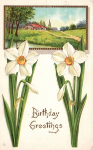 Vintage Postcard 1916 Birthday Greetings Landscape White Flower Wishes Card