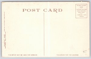 Animals~Grim Monster Alligator~Vintage Postcard