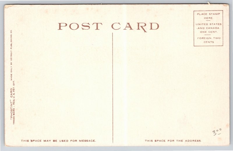 Animals~Grim Monster Alligator~Vintage Postcard