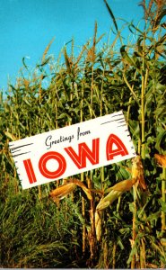 Iowa Greetings From The Tall Corn State