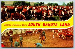 Banner Greeting~Cows In Pen & On Field South Dakota Land~Vintage Postcard