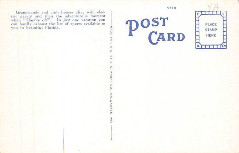 Greyhound Racing View Images 