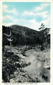 USA Where the Black Bass Thrive near Mena Arkansas Vintage Postcard 07.29