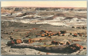 PETRIFIED FOREST ADAMANA AZ HAND COLORED ANTIQUE POSTCARD