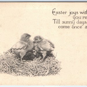 c1910s Happy Easter Joys Poem Cute Baby Chicks in Nest Collo Photo Postcard A82