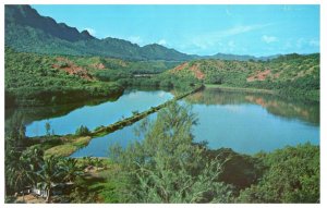 Meneshune Fish Pond Island of Kauai Hawaii Postcard