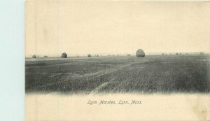 Massachusetts Lynn Marshes Metropolitan #1038-50775 C-1910 Postcard 22-823
