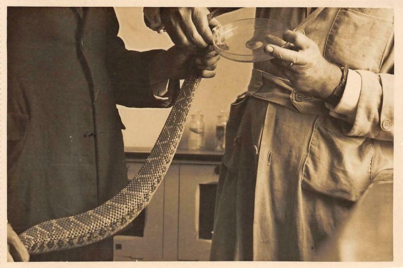 RPPC Snake Venom São Paulo Instituto Butantan c1910s Photo Vintage Postcard