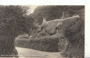 Devon Postcard - The Old Maids of Lee's Cottage - Ref 3865A