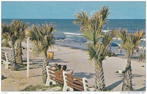 Bench on beach , MYRTLE BEACH , South Carolina , 1950-60s
