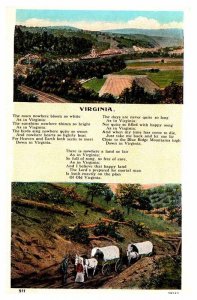 Postcard FARM SCENE Lynchburg Virginia VA AT9478