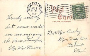 Canal, Lake Cadillac Cadillac, Michigan, USA Postcard