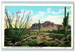 C.1915-20 Superstition Mountain And Desert, Apache Trail. Postcard F103E