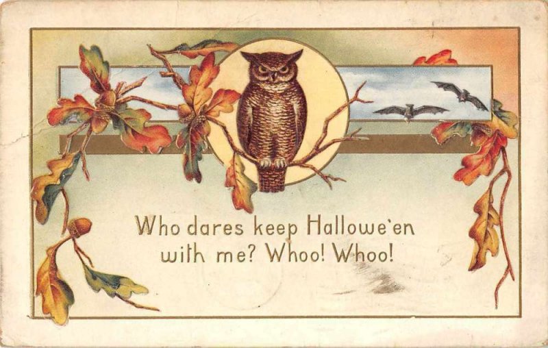 Halloween Greetings Owl on Branch Whitney Vintage Postcard JJ649032