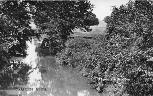 Pond in Camden, Michigan