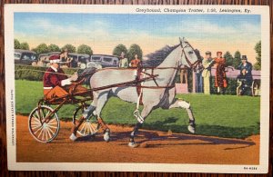 Vintage Postcard 1938 Champion Trotter, Greyhound, Lexington, KY