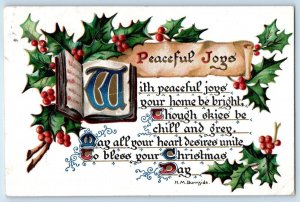1910 Christmas Message Holly Berries Embossed Tuck Hillsboro ND Antique Postcard