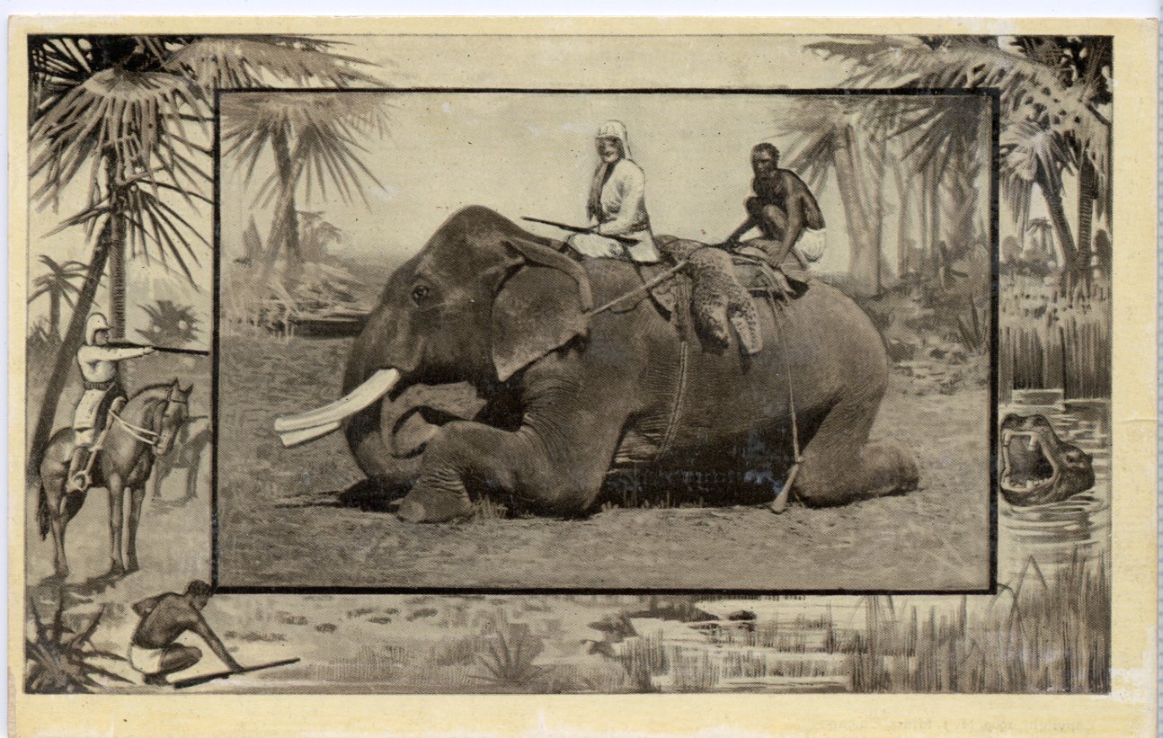 Theodore Roosevelt Safari to Africa, Mintz, 1909 United States Other, Postcard / HipPostcard