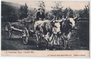 Ox Cart, A Vanishing Type, Catskill Mts