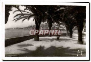 Old Postcard Menton Alpes Ms vile view through the Palms